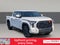 2025 Toyota Tundra SR5 TRD Rally