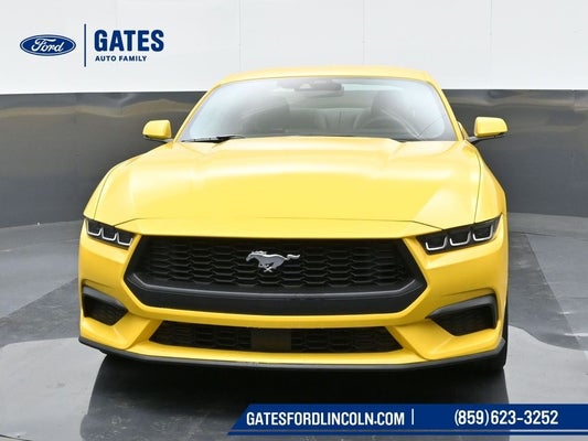 2024 Ford Mustang EcoBoost Premium in Richmond, KY - Gates Auto Family