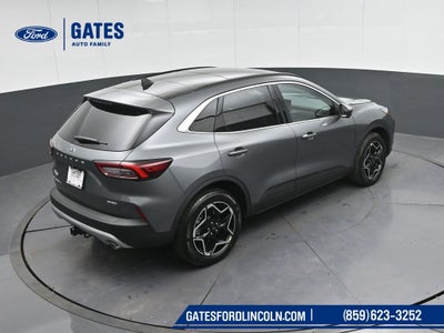 2026 Ford Escape Platinum