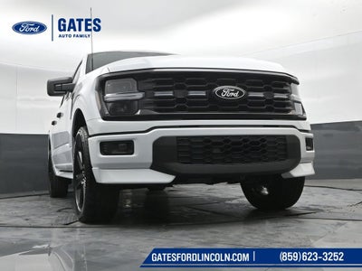 2026 Ford F-150 STX LOBO