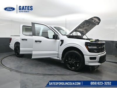 2026 Ford F-150 STX LOBO