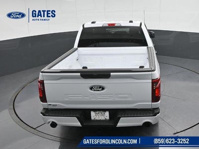 2025 Ford F-150 STX LOBO