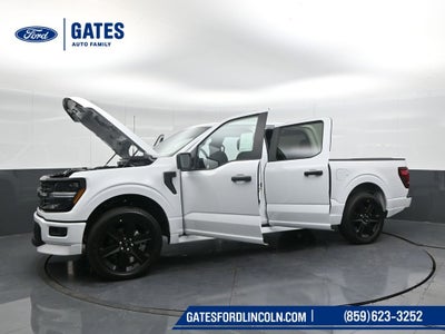 2025 Ford F-150 STX LOBO