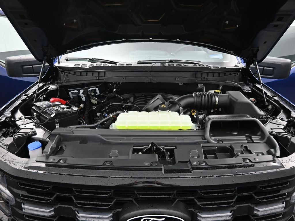 2026 Ford F-150 STX LOBO