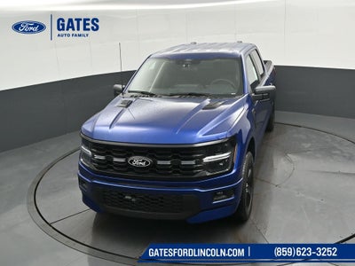 2026 Ford F-150 STX LOBO