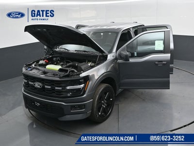 2026 Ford F-150 STX LOBO