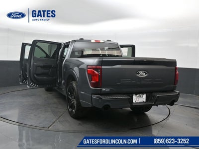 2026 Ford F-150 STX LOBO