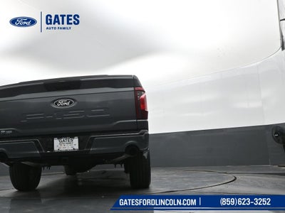 2025 Ford F-150 STX LOBO