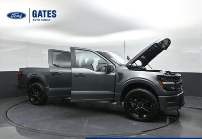 2025 Ford F-150 STX LOBO