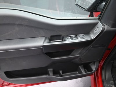 2025 Ford F-150 STX LOBO