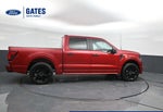 2025 Ford F-150 STX LOBO